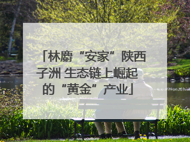 林麝“安家”陕西子洲 生态链上崛起的“黄金”产业