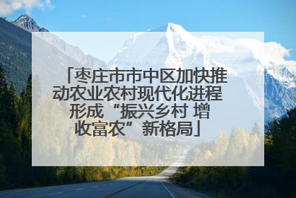 枣庄市市中区加快推动农业农村现代化进程 形成“振兴乡村 增收富农”新格局