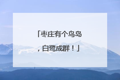 枣庄有个鸟岛，白鹭成群！