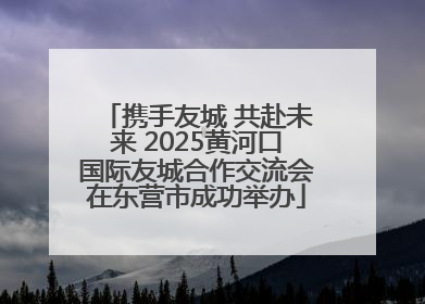 携手友城 共赴未来 2025黄河口国际友城合作交流会在东营市成功举办