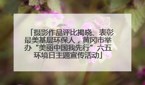摄影作品评比揭晓、表彰最美基层环保人，黄冈市举办“美丽中国我先行”六五环境日主题宣传活动