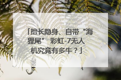 擅长隐身、自带“海狸尾” 彩虹-7无人机究竟有多牛？