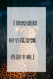 敦煌盛夏时节瓜果飘香迎丰收