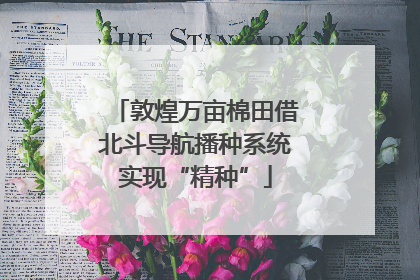 敦煌万亩棉田借北斗导航播种系统实现“精种”