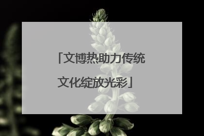 文博热助力传统文化绽放光彩
