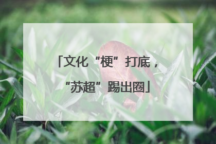 文化“梗”打底，“苏超”踢出圈