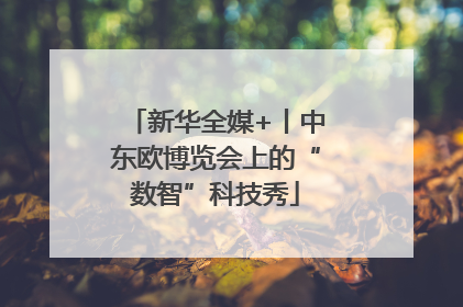 新华全媒+丨中东欧博览会上的“数智”科技秀
