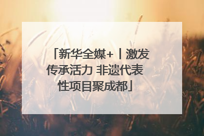 新华全媒+丨激发传承活力 非遗代表性项目聚成都