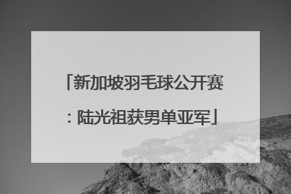 新加坡羽毛球公开赛：陆光祖获男单亚军