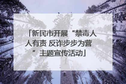新民市开展“禁毒人人有责 反诈步步为营”主题宣传活动