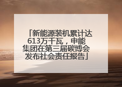 新能源装机累计达613万千瓦，申能集团在第三届碳博会发布社会责任报告