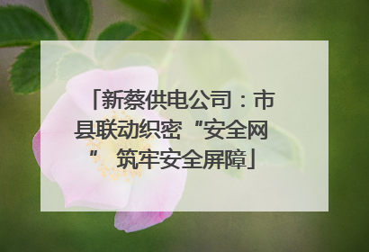 新蔡供电公司：市县联动织密“安全网” 筑牢安全屏障
