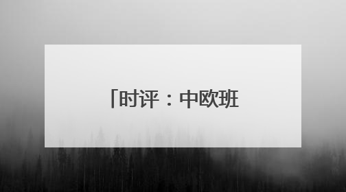时评：中欧班列，跑出亚欧合作加速度