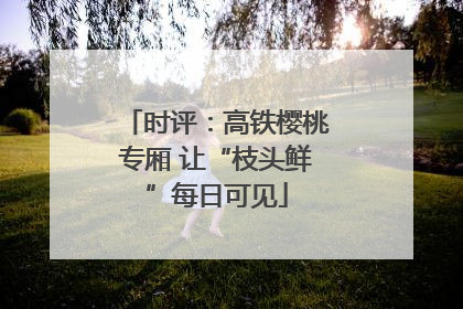 时评：高铁樱桃专厢 让“枝头鲜”每日可见