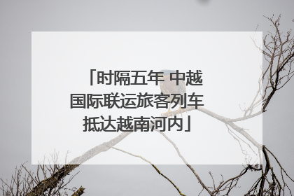 时隔五年 中越国际联运旅客列车抵达越南河内