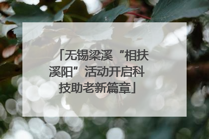 无锡梁溪“相扶溪阳”活动开启科技助老新篇章