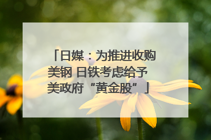 日媒：为推进收购美钢 日铁考虑给予美政府“黄金股”