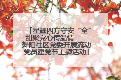 星耀四方守安“全” 甜聚党心传温情——舞阳社区党委开展流动党员建党节主题活动