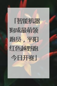 智能机器狗成最萌领跑员，平阳红色越野跑今日开赛
