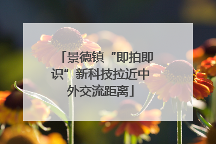 景德镇“即拍即识”新科技拉近中外交流距离