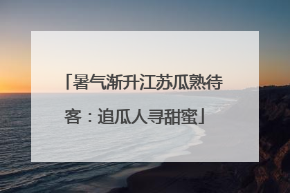 暑气渐升江苏瓜熟待客：追瓜人寻甜蜜