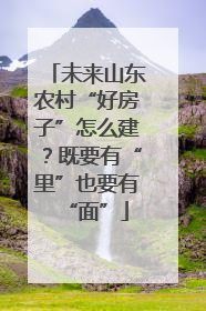未来山东农村“好房子”怎么建？既要有“里”也要有“面”