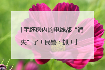 毛坯房内的电线都“消失”了！民警：抓！