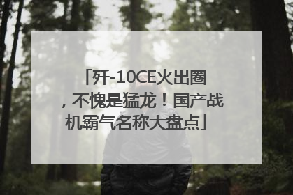 歼-10CE火出圈，不愧是猛龙！国产战机霸气名称大盘点