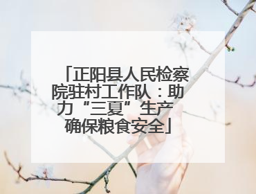 正阳县人民检察院驻村工作队：助力“三夏”生产 确保粮食安全
