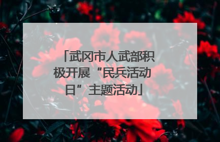 武冈市人武部积极开展“民兵活动日”主题活动
