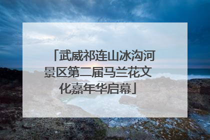 武威祁连山冰沟河景区第二届马兰花文化嘉年华启幕