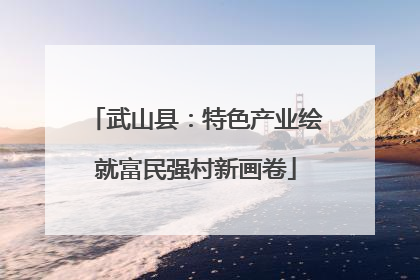 武山县：特色产业绘就富民强村新画卷