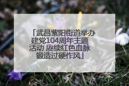 武昌紫阳街道举办建党104周年主题活动 赓续红色血脉锻造过硬作风