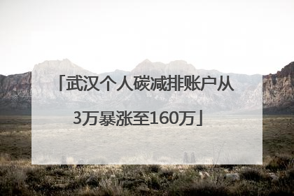武汉个人碳减排账户从3万暴涨至160万