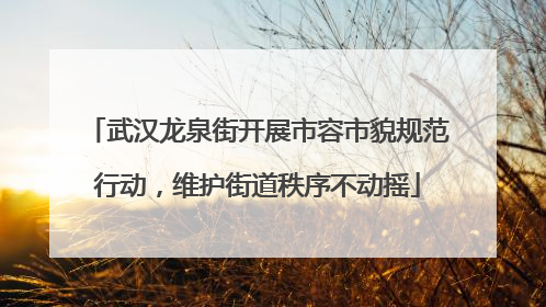 武汉龙泉街开展市容市貌规范行动，维护街道秩序不动摇
