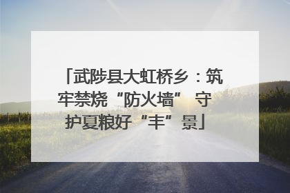 武陟县大虹桥乡：筑牢禁烧“防火墙” 守护夏粮好“丰”景