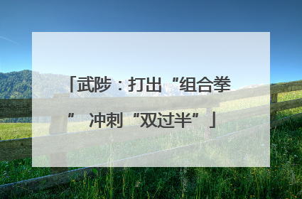 武陟：打出“组合拳” 冲刺“双过半”