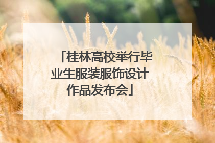 桂林高校举行毕业生服装服饰设计作品发布会