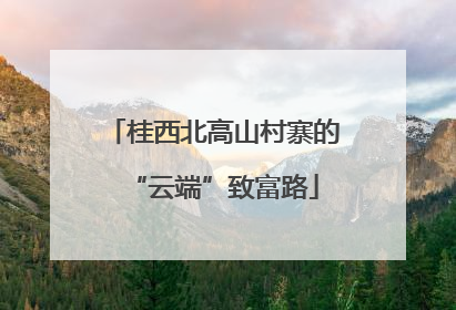 桂西北高山村寨的“云端”致富路