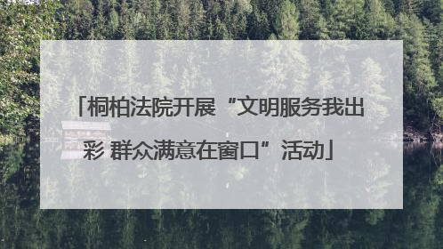 桐柏法院开展“文明服务我出彩 群众满意在窗口”活动