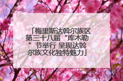 梅里斯达斡尔族区第三十八届“库木勒”节举行 呈现达斡尔族文化独特魅力