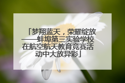 梦翔蓝天，荣耀绽放——蚌埠第三实验学校在航空航天教育竞赛活动中大放异彩