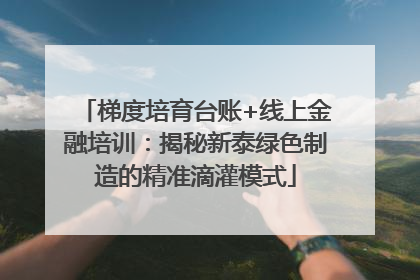 梯度培育台账+线上金融培训：揭秘新泰绿色制造的精准滴灌模式
