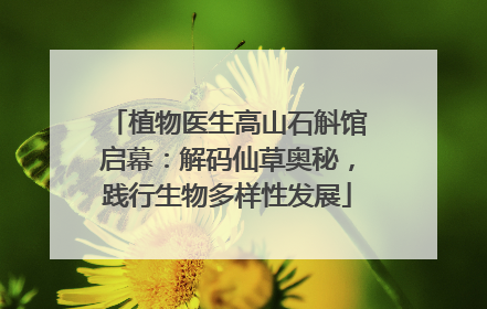 植物医生高山石斛馆启幕：解码仙草奥秘，践行生物多样性发展