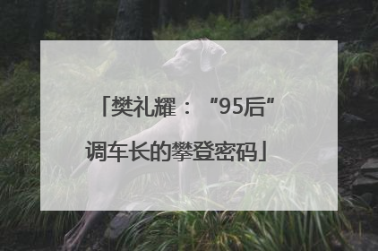 樊礼耀：“95后”调车长的攀登密码
