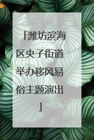 潍坊滨海区央子街道举办移风易俗主题演出