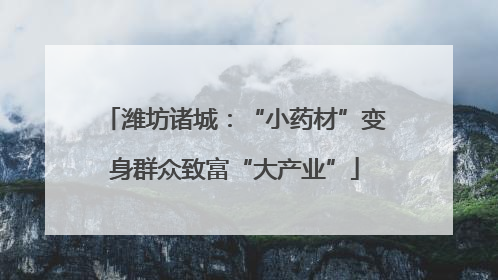 潍坊诸城：“小药材”变身群众致富“大产业”