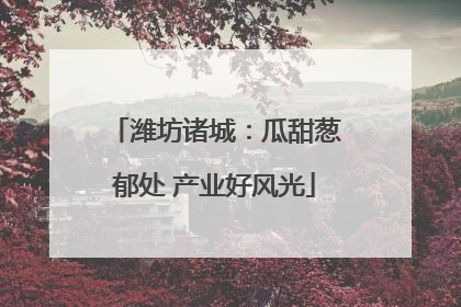 潍坊诸城：瓜甜葱郁处 产业好风光