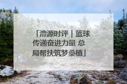 澧源时评｜篮球传递奋进力量 总局帮扶筑梦桑植