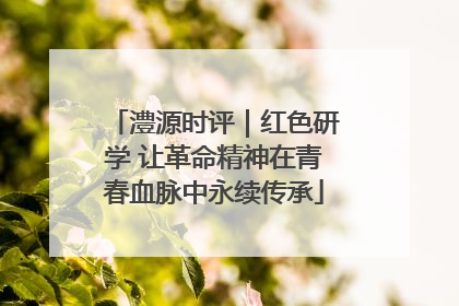 澧源时评｜红色研学 让革命精神在青春血脉中永续传承